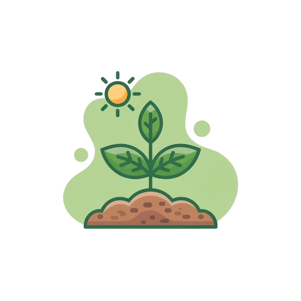 Jeune plante verte sous soleil pour la-mauvaise-graine-pepiniere-bio à Beaumont-sur-lèze, nature et croissance écologique,