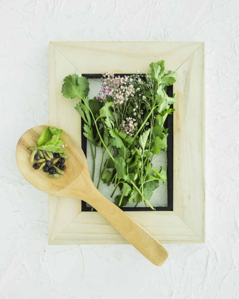 Herbes fraîches de la-mauvaise-graine-pepiniere-bio à Beaumont-sur-lèze avec épices et cuillère en bois sur fond blanc,