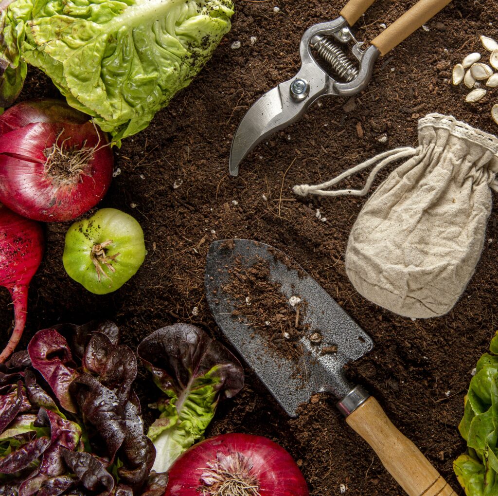 Outils et légumes bios chez la-mauvaise-graine-pepiniere-bio à Beaumont-sur-lèze sur table rustique,
